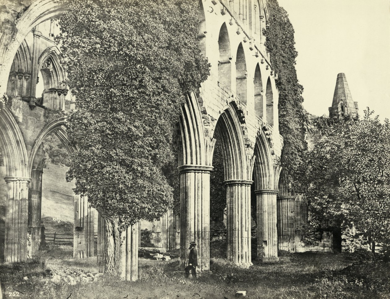 Rievaulx Abbey, North Yorkshire, Storbritannien (s/h-billede) af Unbekannter Künstler