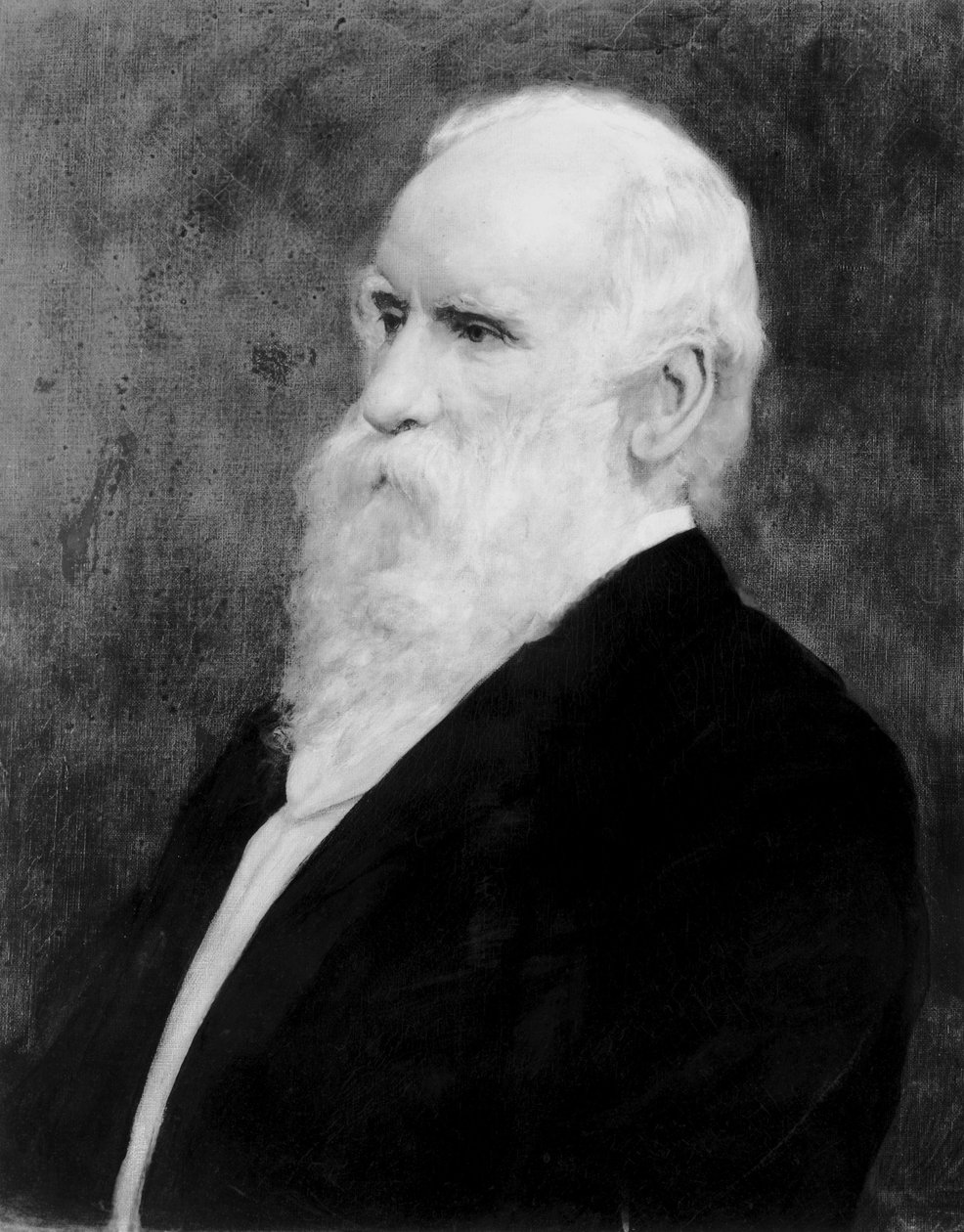 Robert Stirling Newall, engelsk ingeniør og astronom, c 1875 af Unbekannt