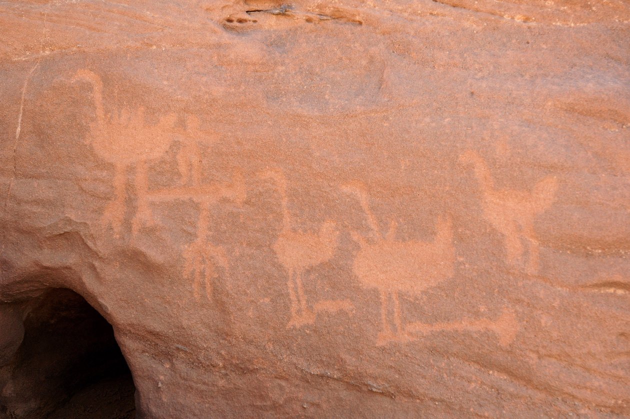 Klippekunst, Prehistoire: Indgravering af en gruppe strudse, hvoraf nogle er blokeret (fanget med en hindringssten) og to figurer i Uweinat-massivet, Sudan. Periode fra 8000 til 3000 år f.Kr. Fotografering af Unbekannt