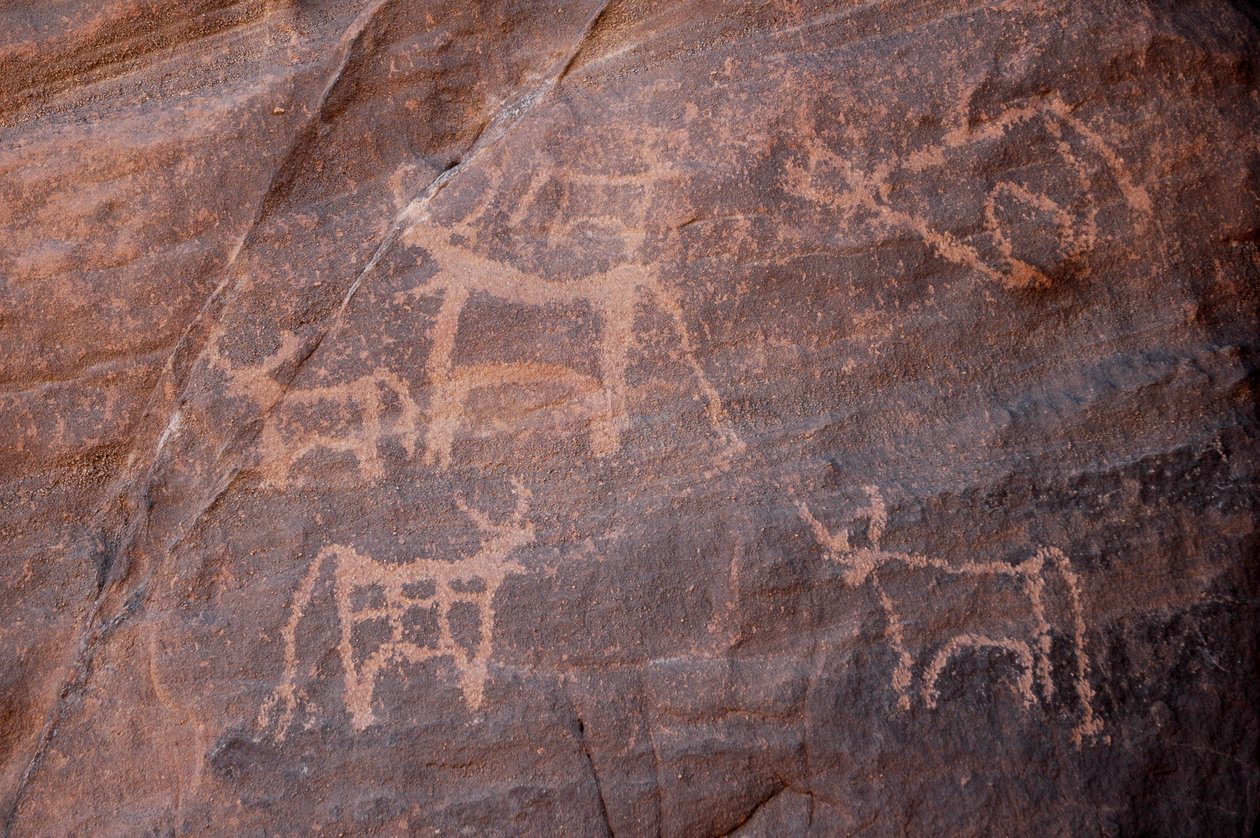Klippekunst, Prehistoire: Indgravering af et sæt kvæg, hvoraf det ene er nederst til venstre, i Uweinat-massivet, Egypten. (Periode fra 8000 til 3000 år f.Kr.). Fotografering af Unbekannt