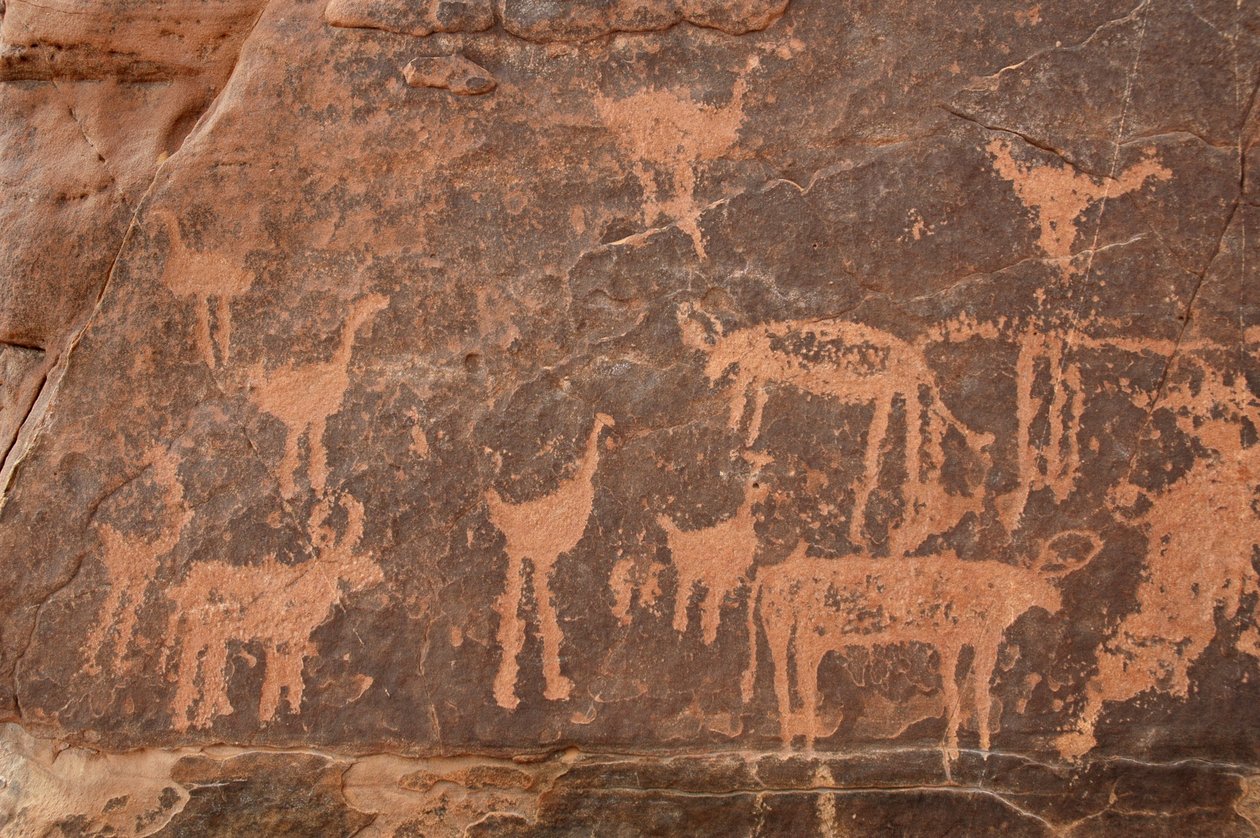 Klippekunst, forhistorie: Detalje af en gravering af et sæt strudse og kvæg i Uweinat-massivet, Egypten (Periode fra 8000 til 3000 år f.Kr.). Fotografering af Unbekannt