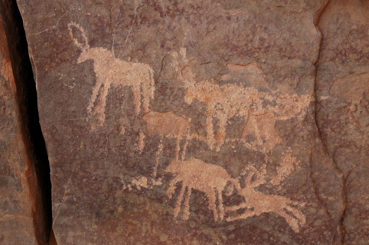 Klippekunst, forhistorie: Indgravering af et sæt antiloper og en hund (nederst til højre) i Uweinat-massivet, Egypten. (Periode fra 8000 til 3000 år f.Kr.). Fotografering af Unbekannt