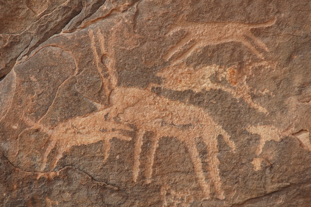 Klippekunst, forhistorie: Indgravering af en antilope angrebet af en flok hunde i Uweinat-massivet, Egypten (Periode fra 8000 til 3000 år f.Kr.). Fotografering af Unbekannt