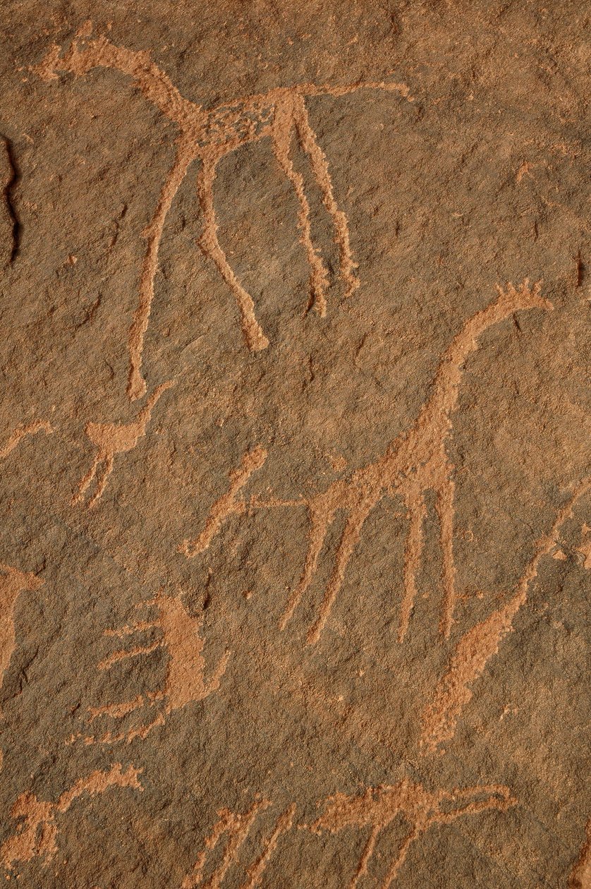 Klippekunst, forhistorie: Indgravering af giraffer, strudse, andre dyr og figurer i Uweinat-massivet, Sudan (Karkur-Talh eller Karkur Talh). Periode fra 8000 til 3000 år f.Kr. Fotografering af Unbekannt