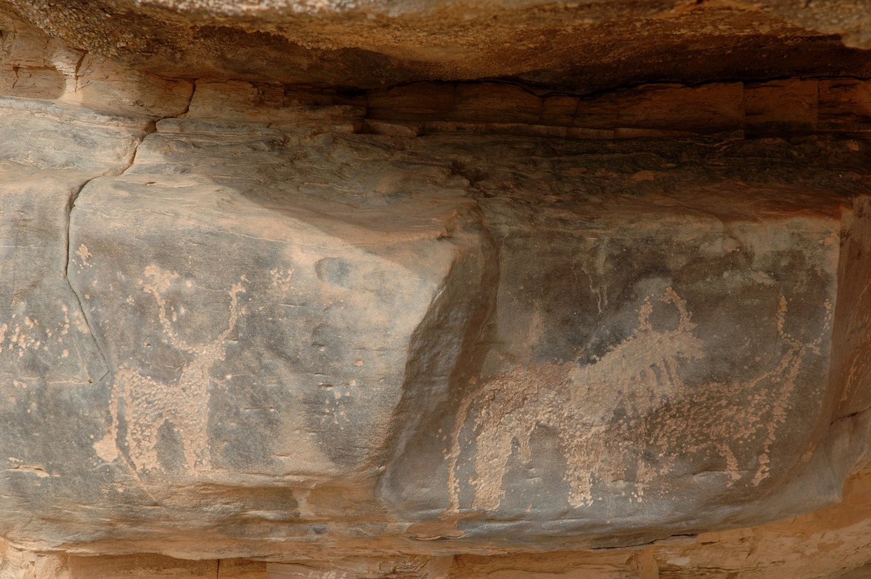 Klippekunst, forhistorie: Indgravering af tre kvæg i Uweinat-massivet, Sudan (Karkur-Talh eller Karkur Talh). Periode fra 8000 til 3000 år f.Kr. Fotografering af Unbekannt