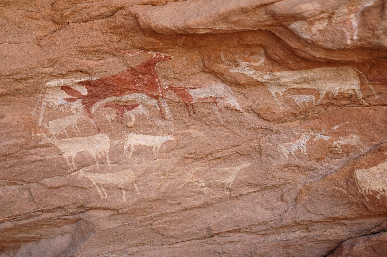Klippekunst, forhistorie: Maleri af et sæt kvæg i et udsmykket husly i Uweinat-massivet, Sudan (Karkur-Talh eller Karkur Talh). Periode fra 8000 til 3000 år f.Kr. Fotografering af Unbekannt