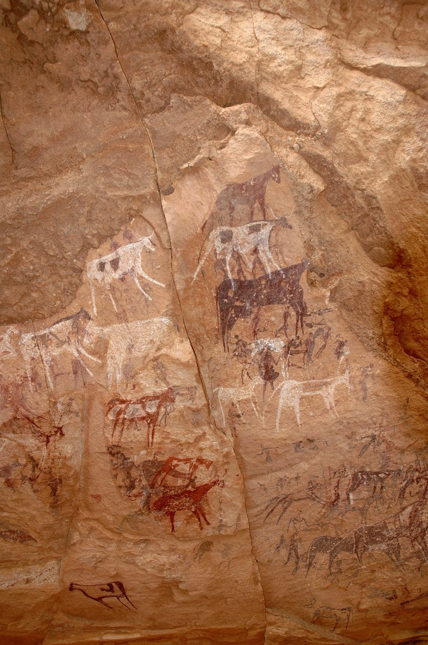 Klippekunst, forhistorie: Klippemaleri af en gruppe kvæg og karakterer i et udsmykket husly i Uweinat-massivet, Sudan (Karkur-Talh eller Karkur Talh). Periode fra 8000 til 3000 år f.Kr. Fotografering af Unbekannt