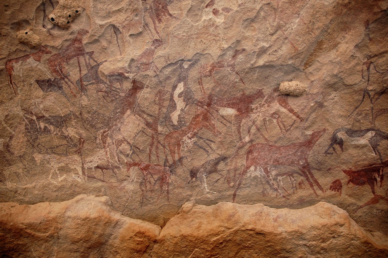 Klippekunst, forhistorie: Klippemaleri af en gruppe kvæg og polykrome figurer i et udsmykket husly i Uweinat-massivet, Sudan. Periode fra 8000 til 3000 år f.Kr. Fotografering af Unbekannt