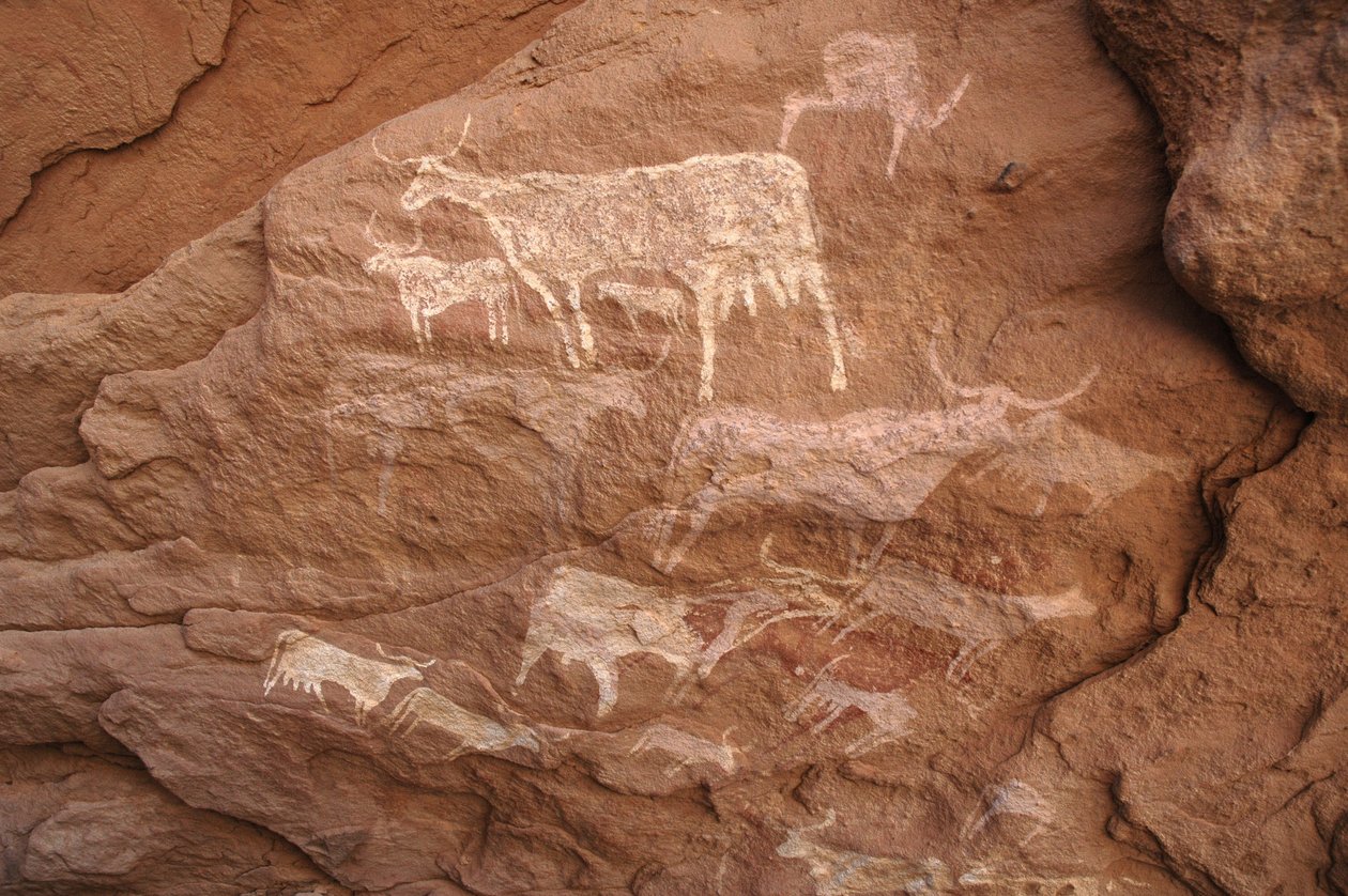 Klippekunst, forhistorie: Klippemaleri af en gruppe kvæg i et udsmykket husly i Uweinat-massivet, Sudan (Karkur-Talh eller Karkur Talh). Periode fra 8000 til 3000 år f.Kr. Fotografering af Unbekannt