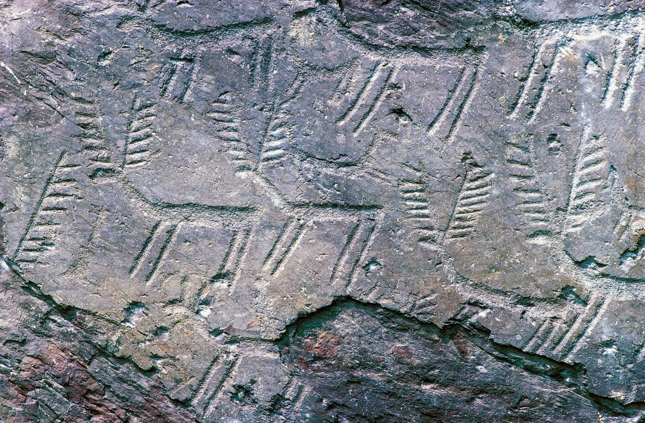 Helleristninger i Massi di Cemmo National Archaeological Park, Val Camonica (Unescos verdensarvsliste af William M. Timlin