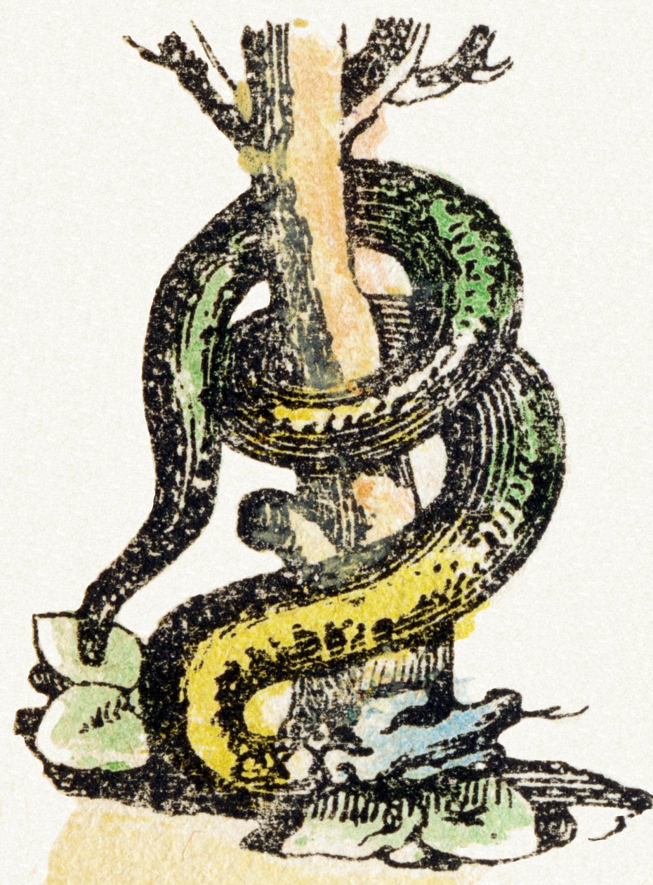 S - Serpent - Child Entertainment Alphabet ca. 1890 (litografi) af Unbekannt