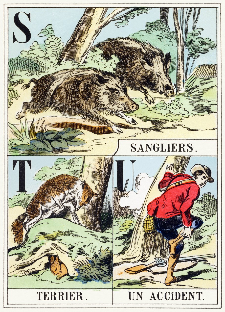 S T U : Sanglier, Terrier, Un accident - Jagtalfabetet, ca. 1890 (gravering) af Unbekannt
