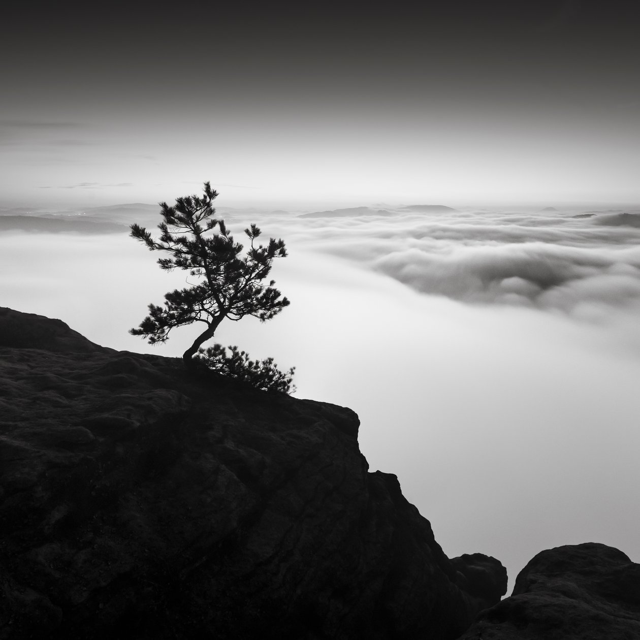 Saxon Switzerland Kingdom, Tyskland, 2015 (s/h-billede) af Leopold Blonder