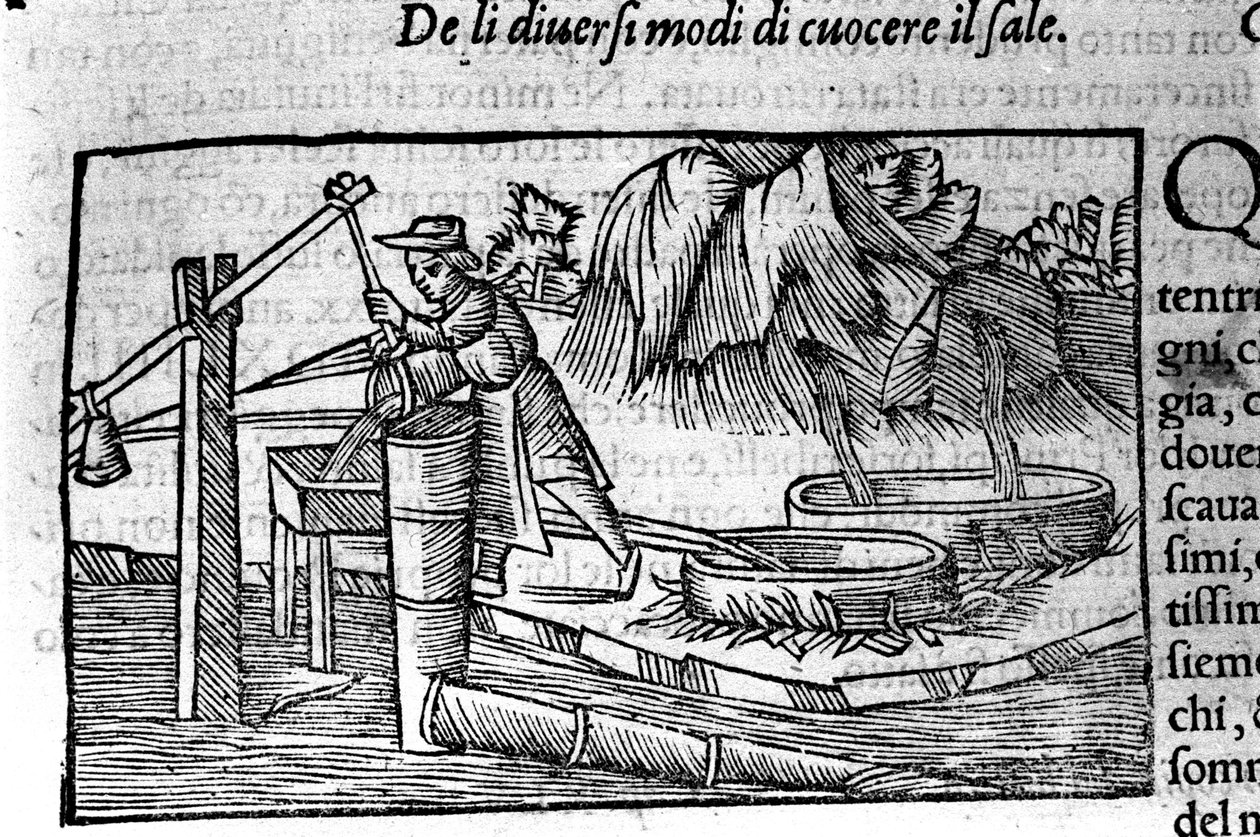 Saltproduktion: madlavning. Gravering af Olaus Magnus (1490 - 1557), svensk religiøs og geograf, "Historia de Gentis Septentrionalibus", Venedig af Unbekannt
