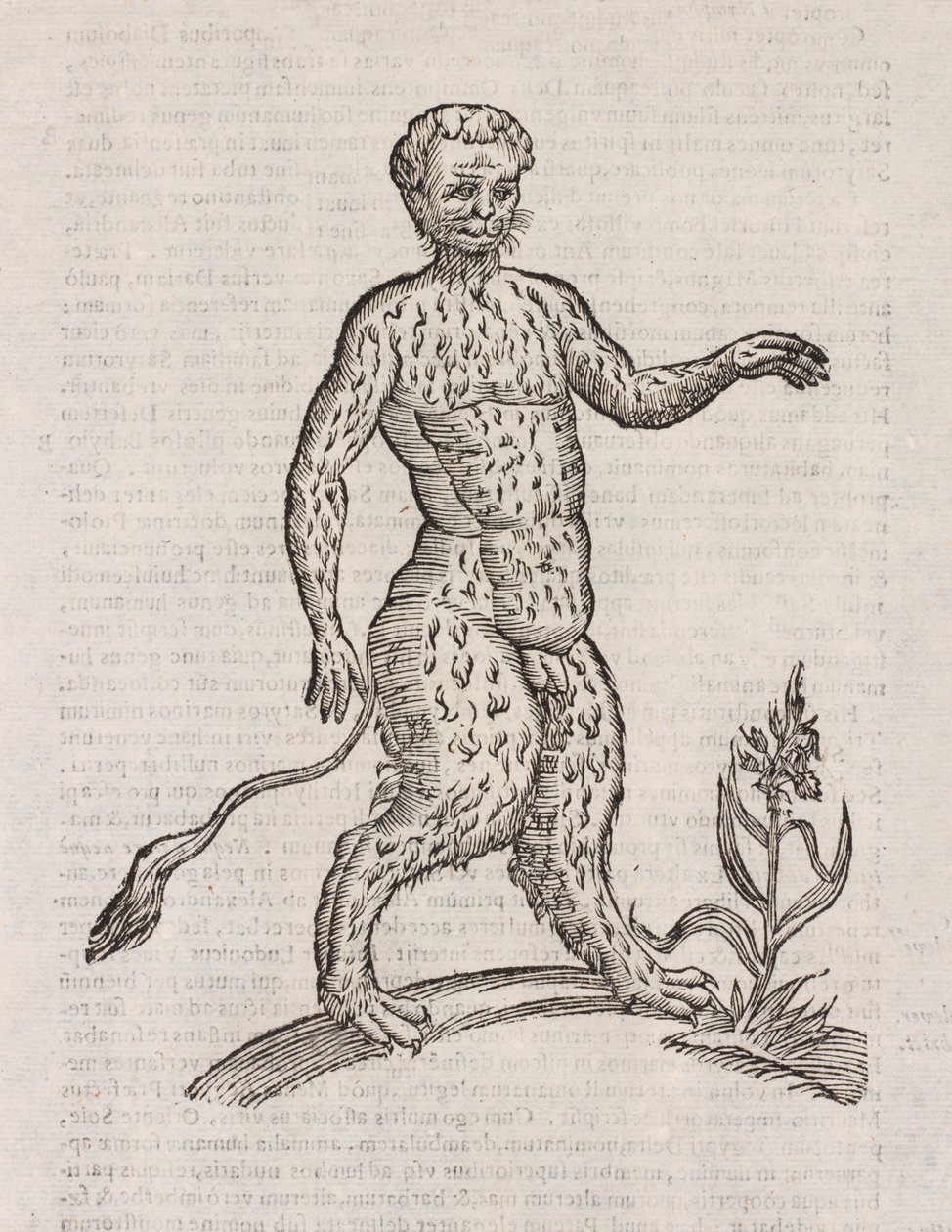 Satyrer en anden art af Unbekannt