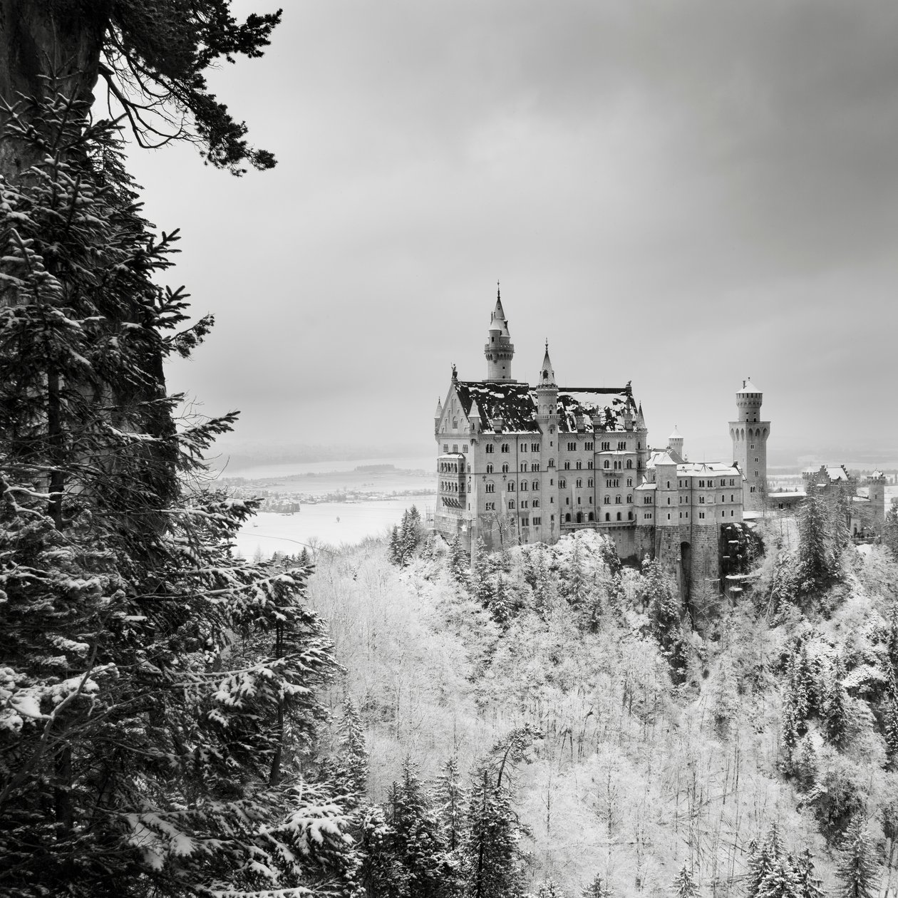 Neuschwanstein Castle, Füssen, Tyskland, 2013 (s/h-billede) af Leopold Blonder