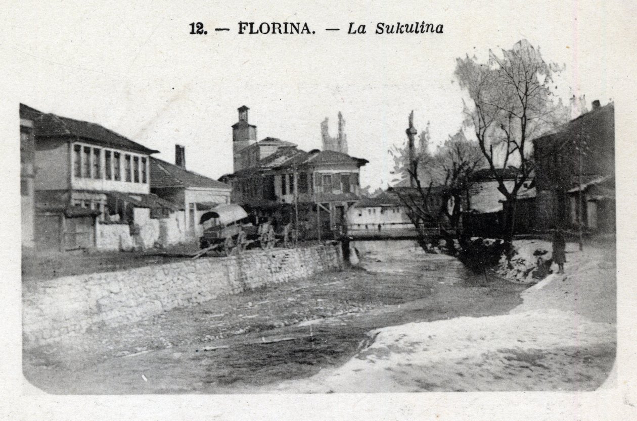 Serbien, Florina (nuværende Grækenland): udsigt over Sukulina - Postkort 1914-1918 af William M. Timlin