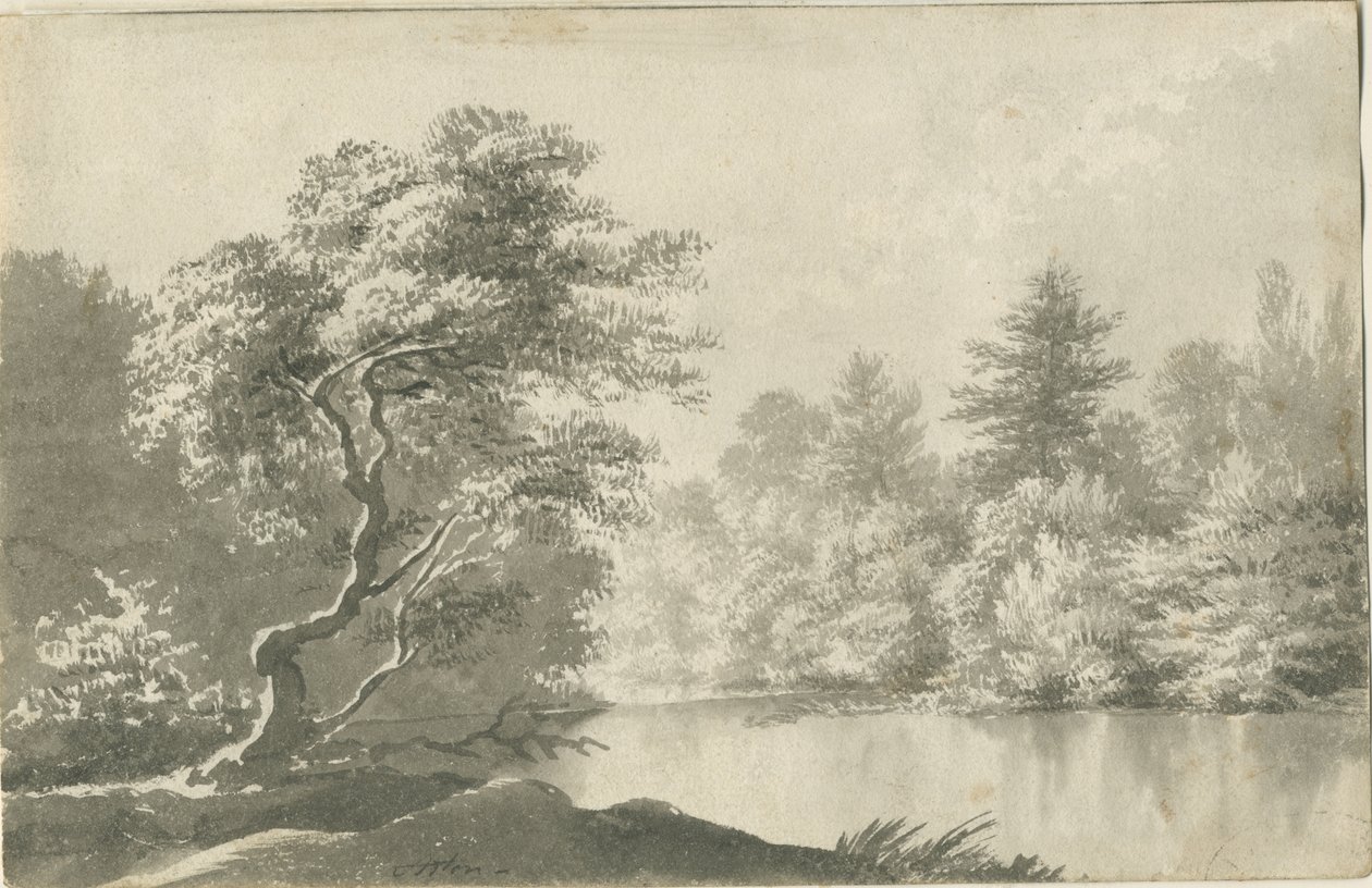 Shenstone - Pool nær Little Aston: sepia vask tegning, nd [19. århundrede] af Unbekannt