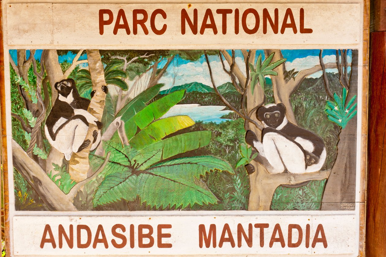 Skilt, der forestiller lemurer i junglen; Andasibe-Mantadia Nationalpark; Madagaskar; Afrika af Unbekannt