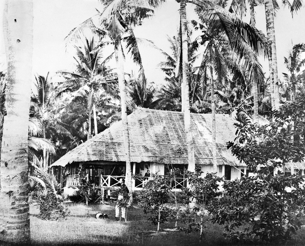Singapore: En privat bungalow omgivet af palmer. Singapore, c1875 af Unbekannt