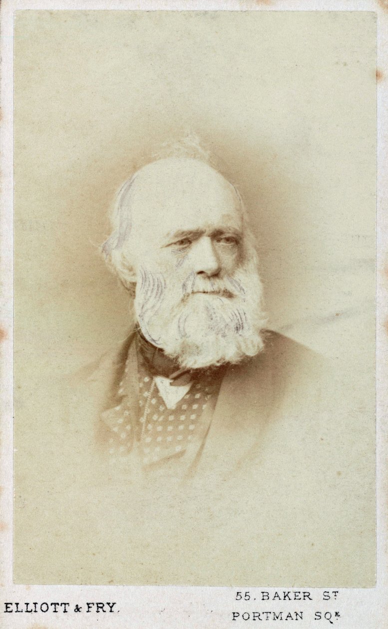 Sir Charles Lyell, engelsk geolog, c1865-1875 af Unbekannt