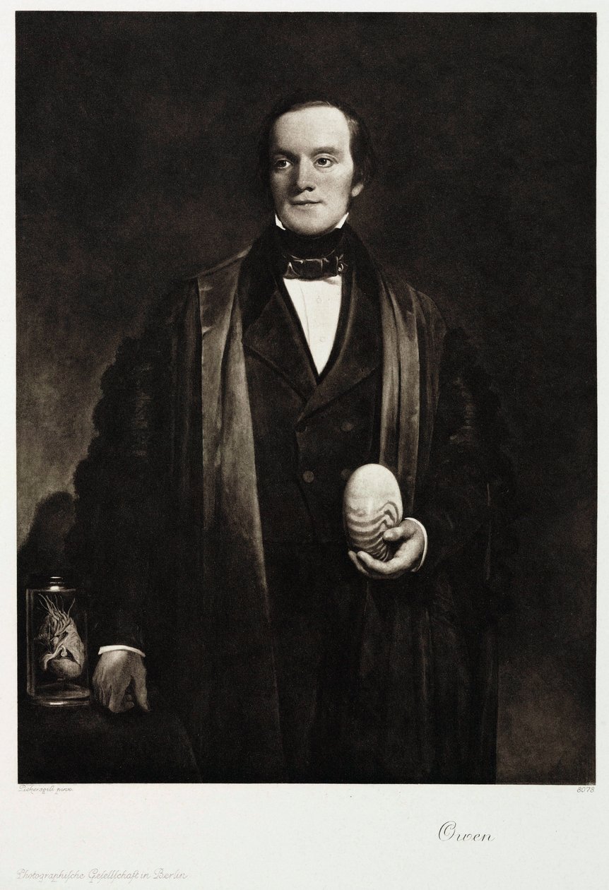 Sir Richard Owen, engelsk naturforsker og palæontolog, c 1845 af Unbekannt