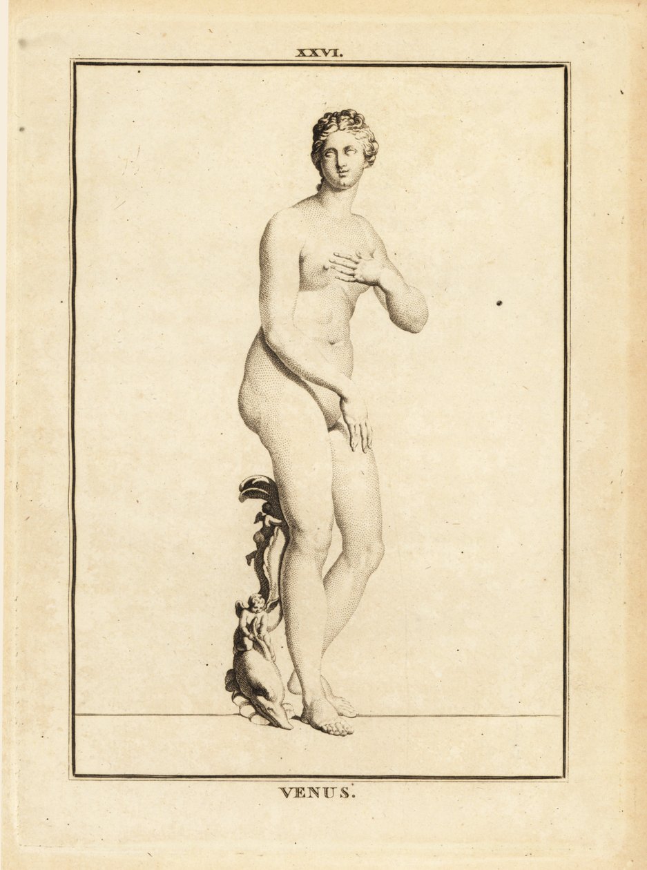 Statue af Venus, romersk gudinde for kærlighed, skønhed, sex og frugtbarhed af Unbekannt