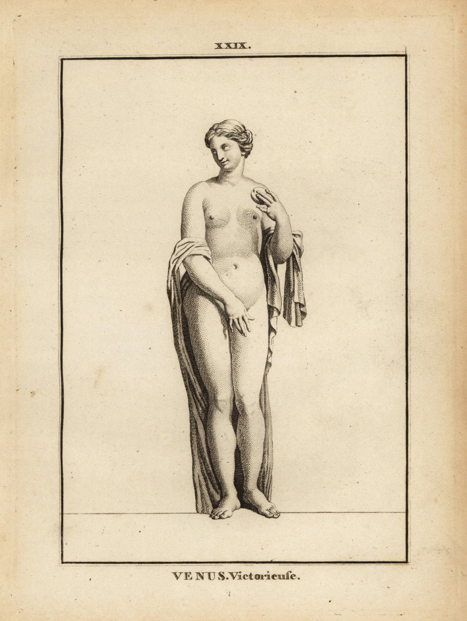 Statue af Venus Victrix, romersk gudinde for kærlighed, skønhed, sex og frugtbarhed af Unbekannt