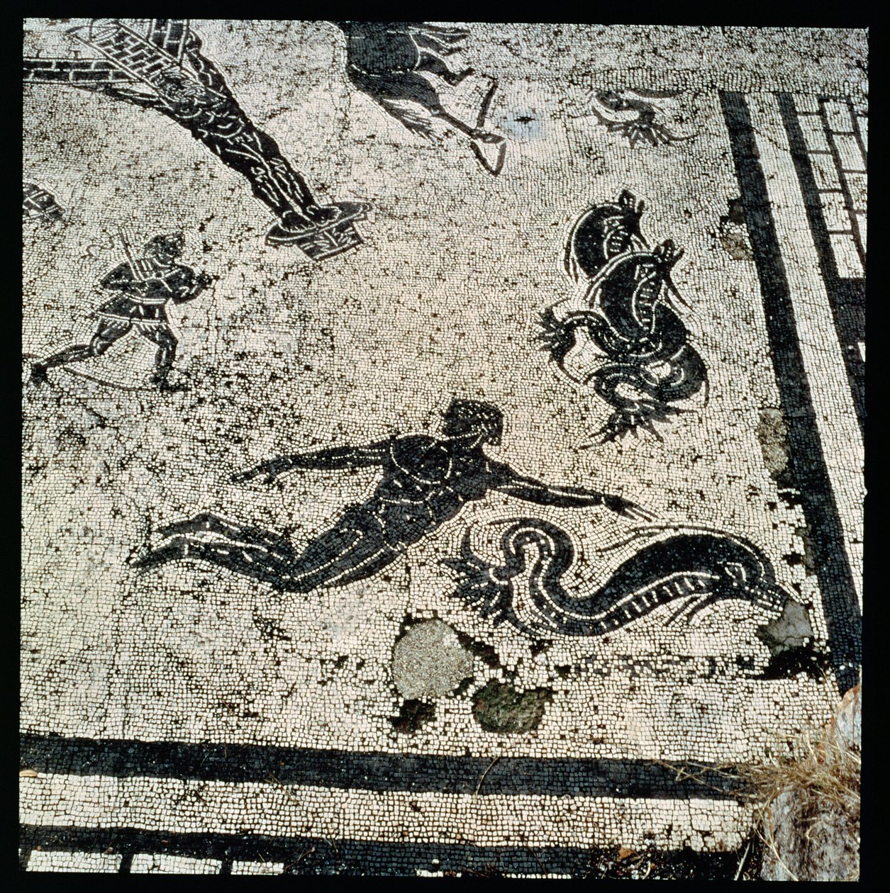 Svømning med delfinerne fra Frigidarium of the Baths i Ostia, 2. århundrede e.Kr. (mosaik) af Unknown