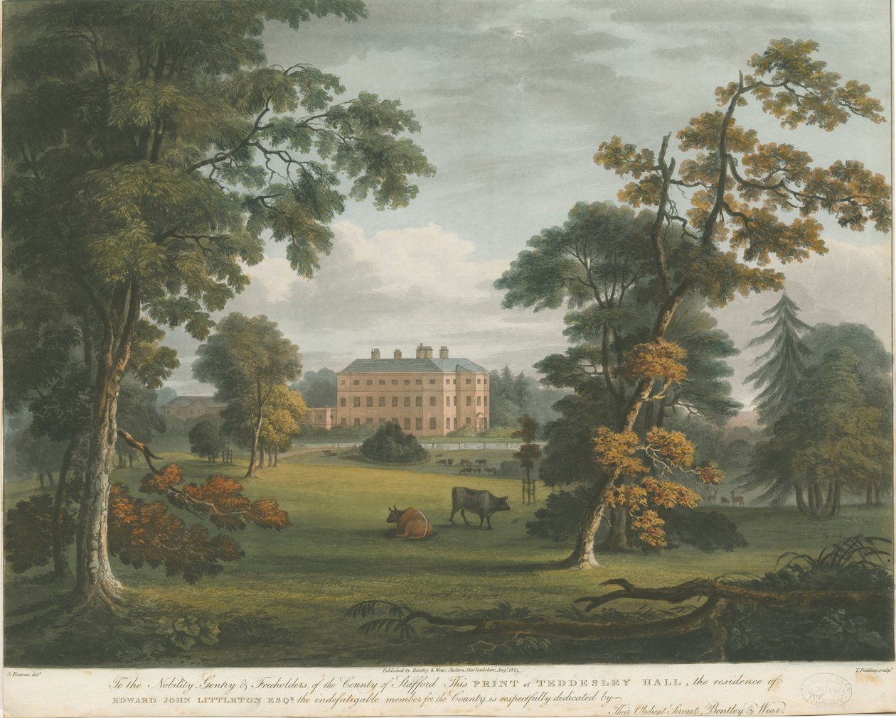 Teddesley Hall: farvet akvatintegravering, nd [c 1825] af Unbekannt