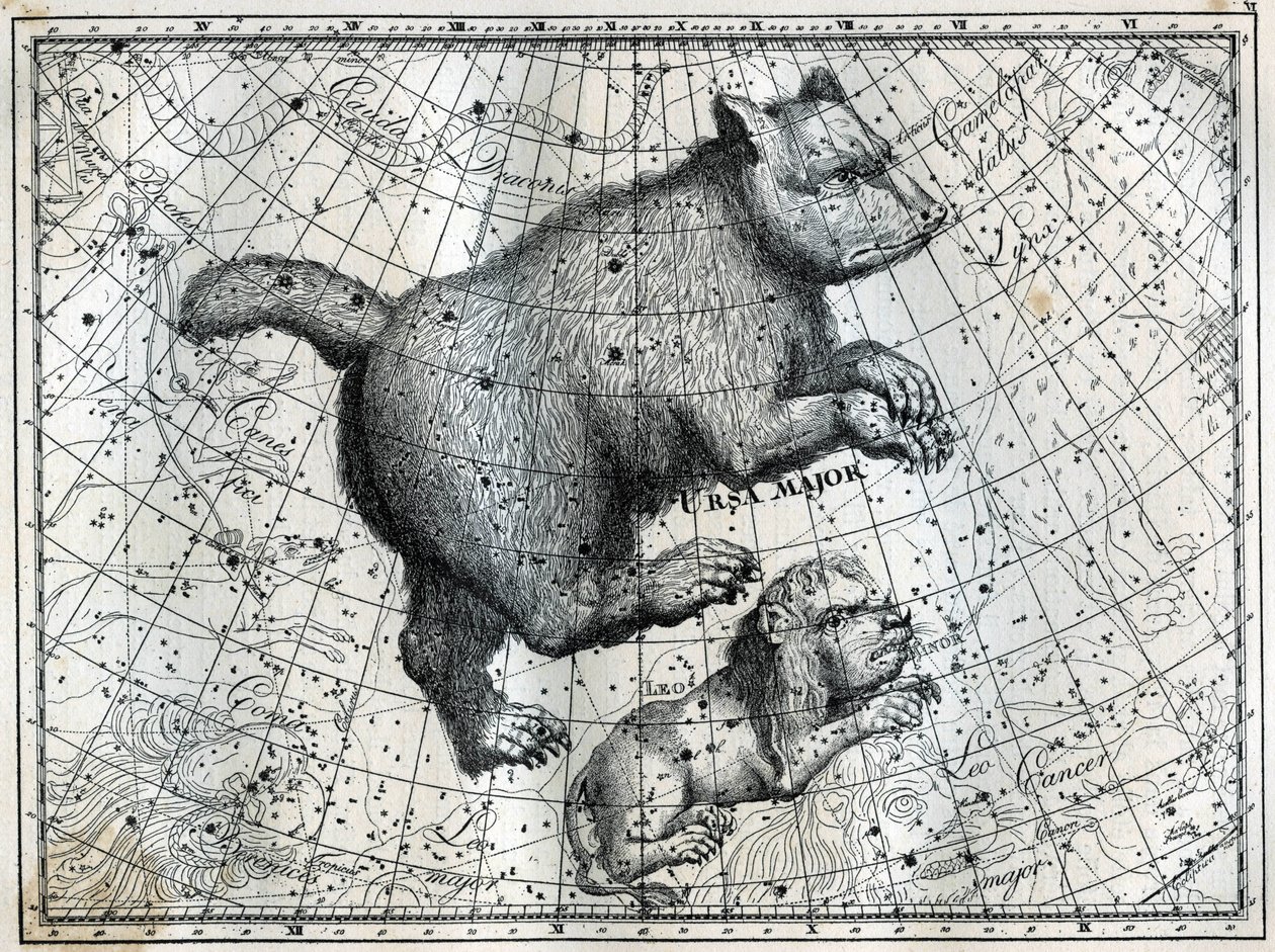 De boreale konstellationer: den store bjørn og den lille løve. Indgravering fra Camille Flammarions "The Stars and Other Curiosities of the Sky" af Unbekannt