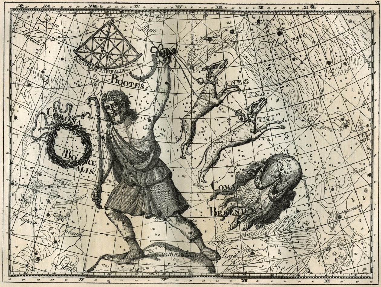 Boweren, den boreale krone, jagthundene, Berenices hår. Indgravering fra Camille Flammarions "The Stars and Other Curiosities of the Sky" af Unbekannt