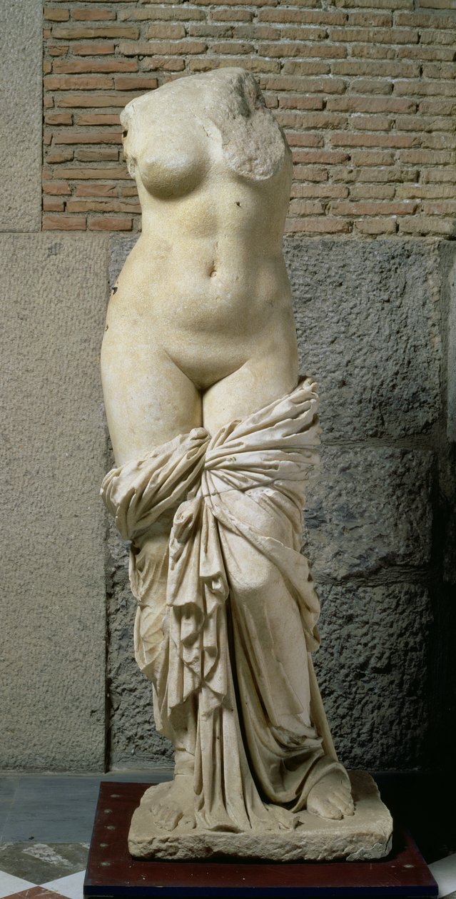 Sinuessa Aphrodite (marmor) af Unbekannt