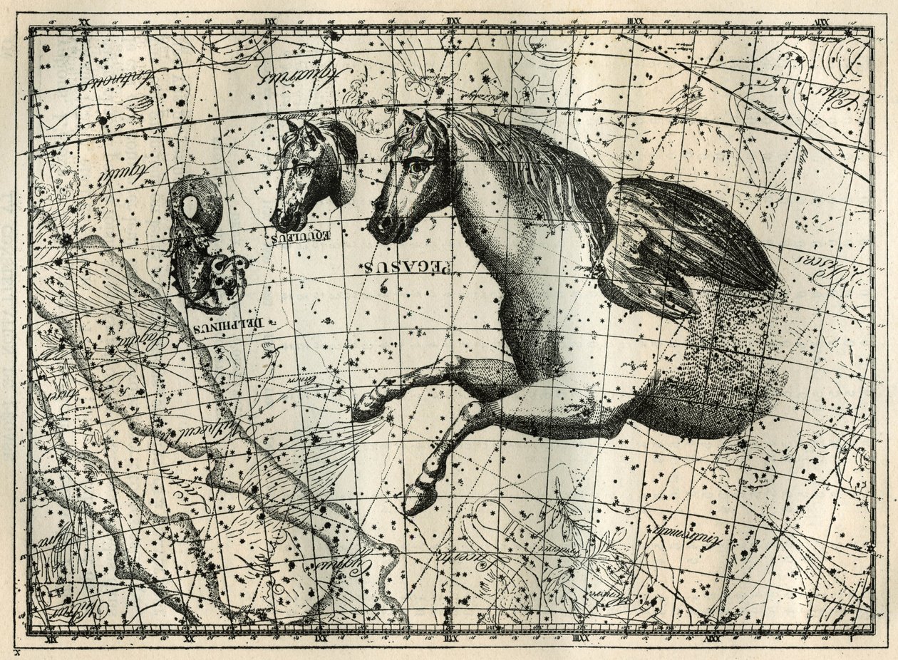 Stjernebilledet Pegase, tegner som den forreste halvdel af en hest med et par vinger, den lille hest, et hestehoved og delfinen. Gravering fra "Les étoiles et les autres curiosites du ciel" af Camille Flammarion af Unbekannt