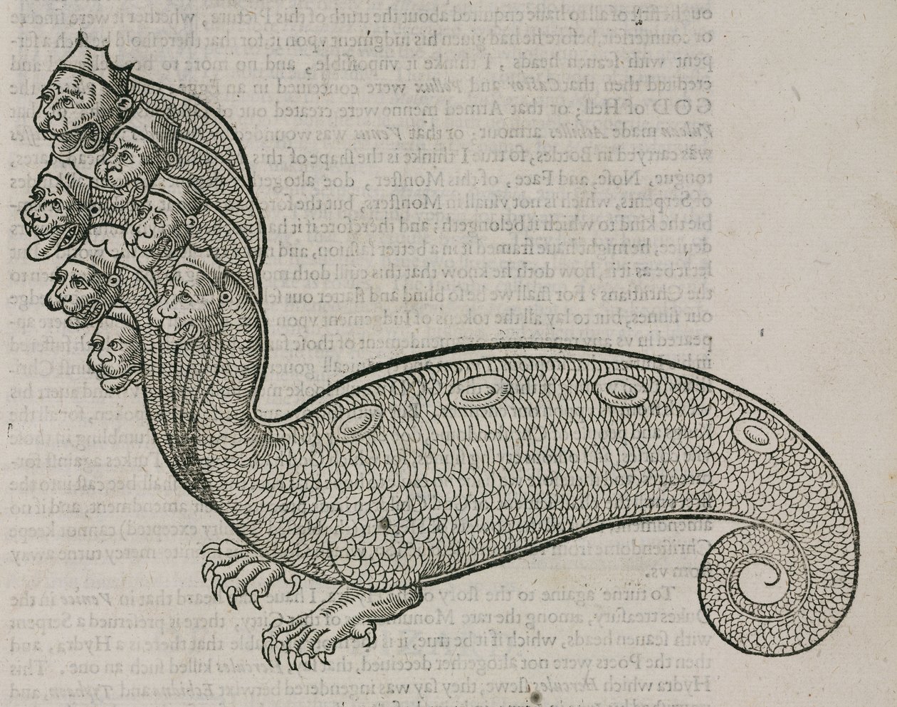 Hydraen af Unbekannt