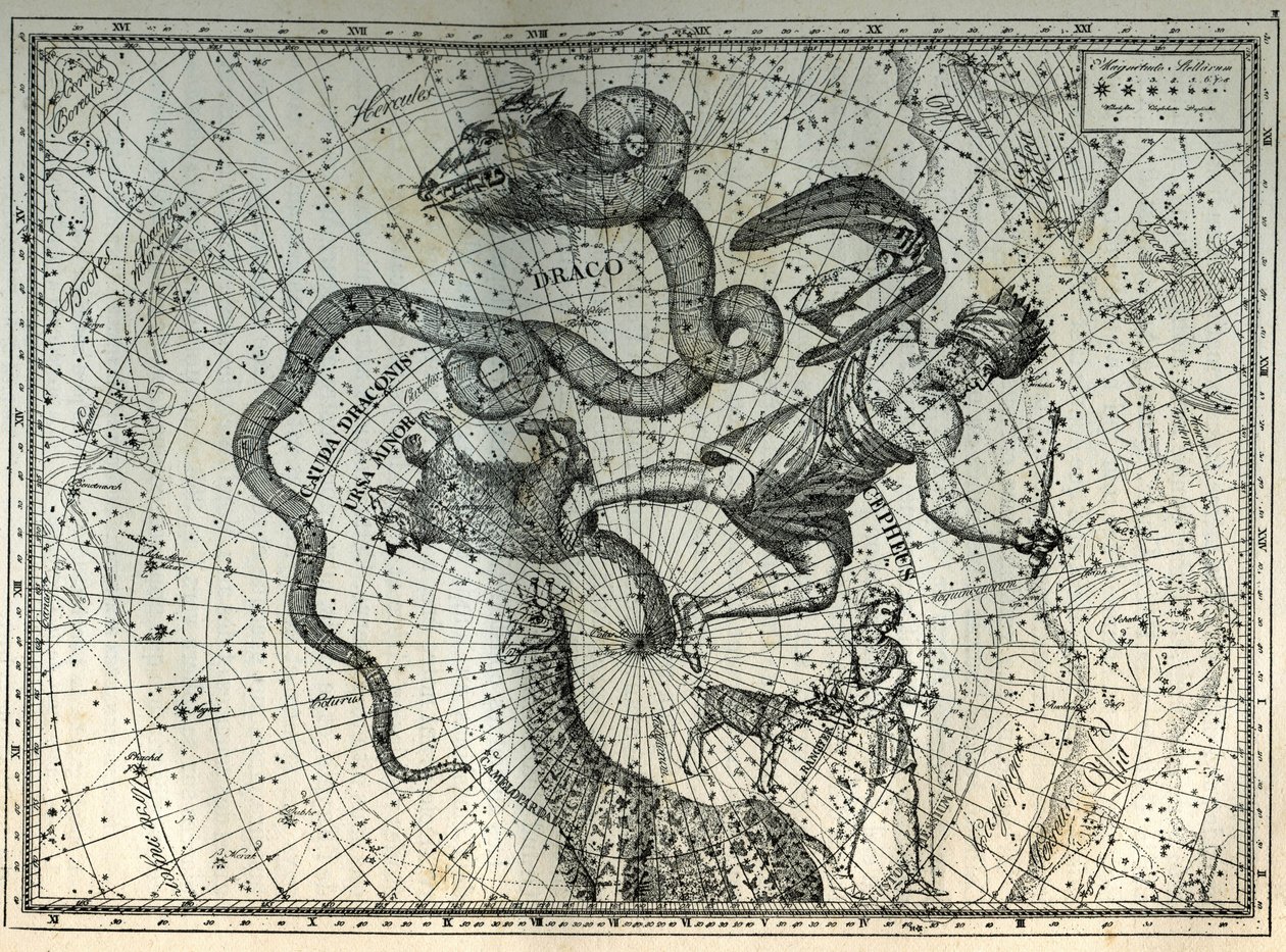 De nærliggende stjernebilleder på Nordpolen: Lille Bjørn, Drage, Cephee, Giraf, Rensdyr og Messier. Indgravering fra Camille Flammarions "The Stars and Other Curiosities of the Sky" af Unbekannt