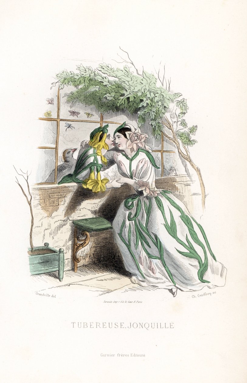 En knoldfebril og en alfepåskelilje kurtiserer på en havebænk ved siden af en mur - Eau forte af Charles Geoffroy (1819-1882), baseret på en illustration af Jean Ignace Isidore Gerard dit J.J.Granville (1803-1847) til Les fleurs animees. af Unbekannter Künstler