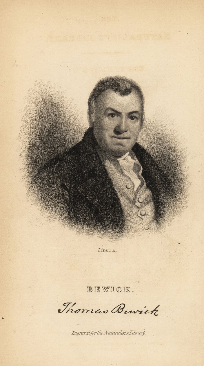 Thomas Bewick, engelsk gravør og naturhistorisk forfatter af Unbekannt