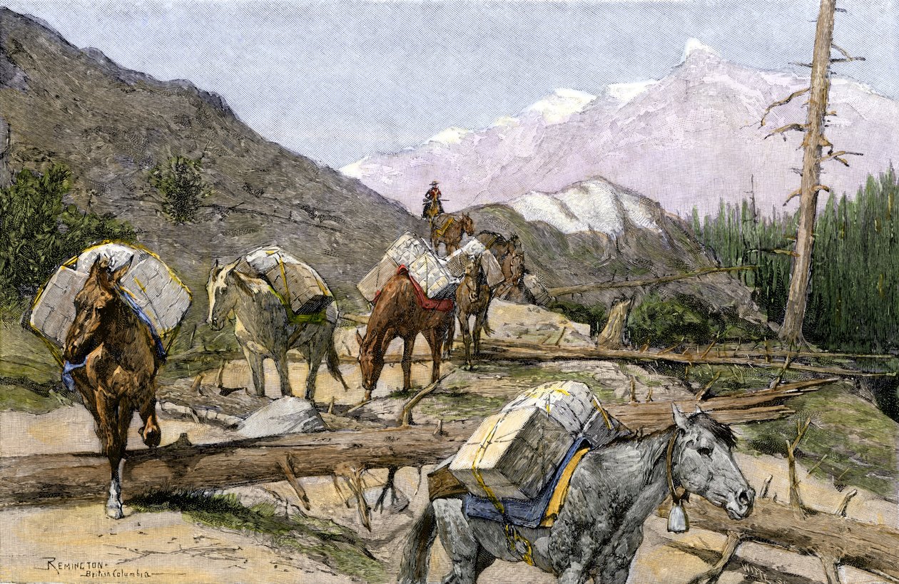 Transport af forsyninger og pelse på hesteryg i Rocky Mountains, USA. Fra en illustration af Frederic Remington. Pakketog med forsyninger eller pelse over Rocky Mountains. af Unbekannter Künstler