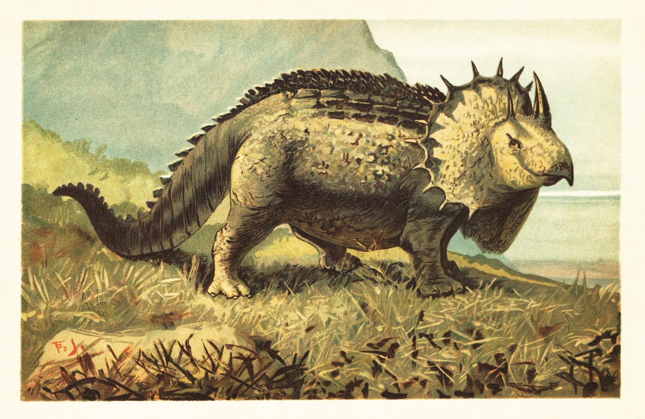 Triceratops prorsus, uddød planteædende dinosaur.1908 (litografi) af Unbekannter Künstler