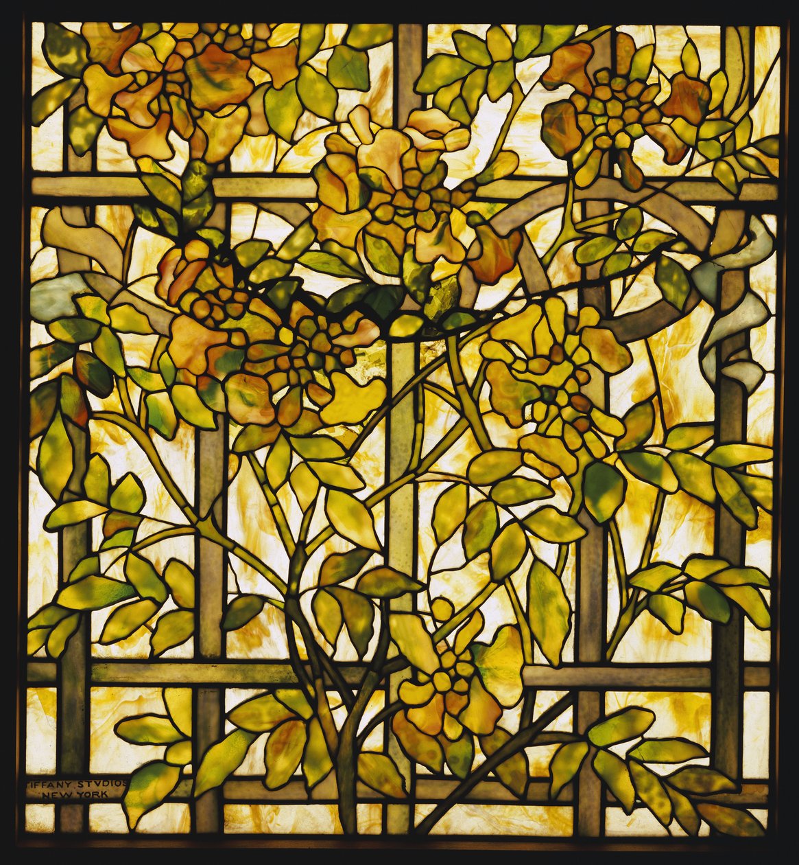 Trumpet Vine glasvindue, Tiffany Studios af Unbekannt