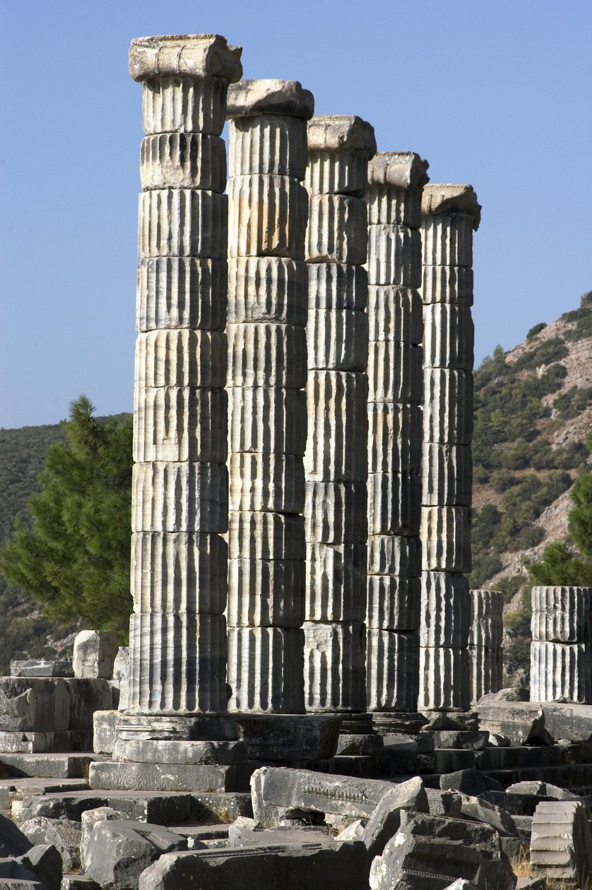 Tyrkiet Pyrenæernes sydlige kyst over sletten ved floden Meander gudinden Athenas tempel af Unbekannt