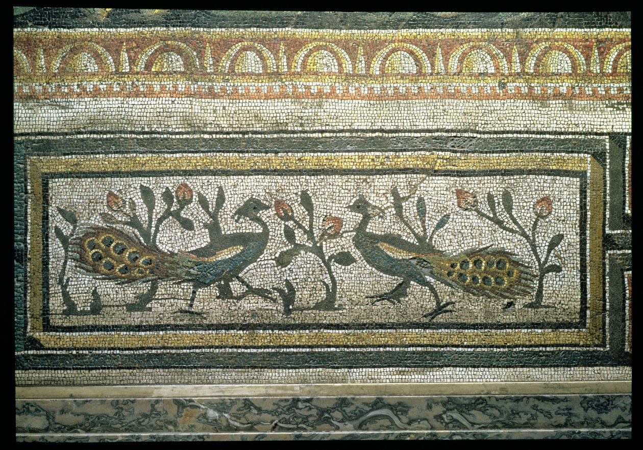 To påfugle, dekorativ kantdetalje fra en mosaikbelægning, der skildrer årstiderne og jagtscenerne, fra den konstantinske villa i Daphne, Roman, ca. 325-330 e.Kr. (marmor, kalksten og glasmosaik) (detalje fra 105665) af Unbekannt