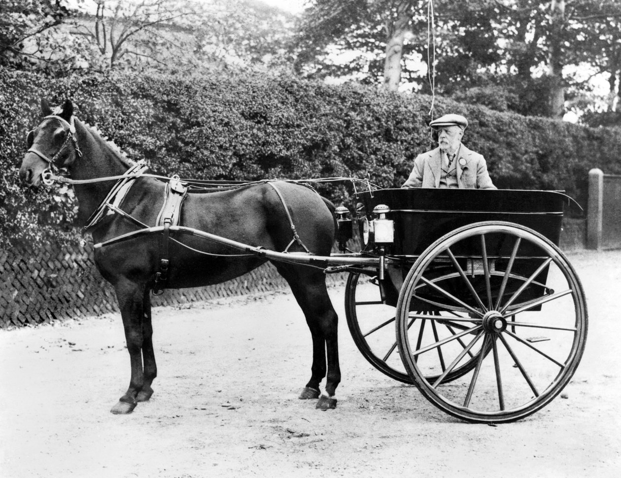 Storbritannien: En hest og fælde. c1905 af Unbekannt