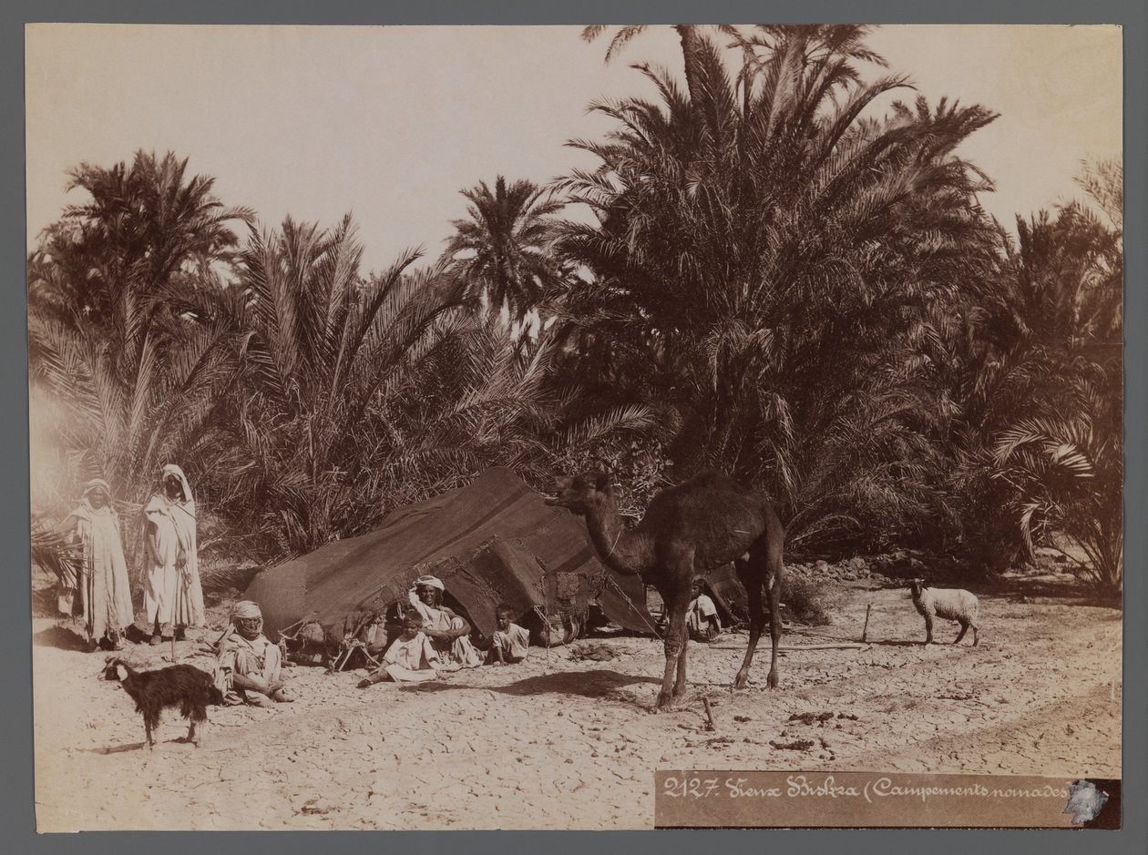 Udsigt fra et sted i Nordafrika- Nomad Camp (albumin fotografisk print) af Unbekannt