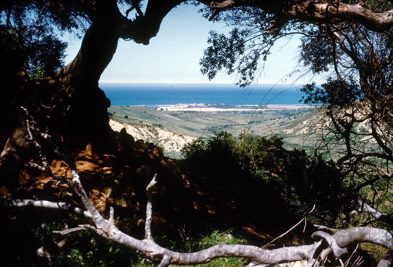 Udsigt over Middelhavet, Kabylien, Algeriet af Unbekannter Künstler