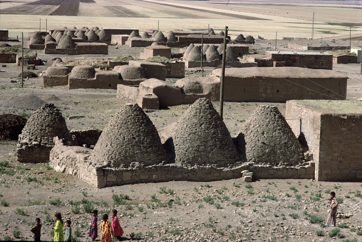Village of Beehive Huts (foto) af Unbekannt