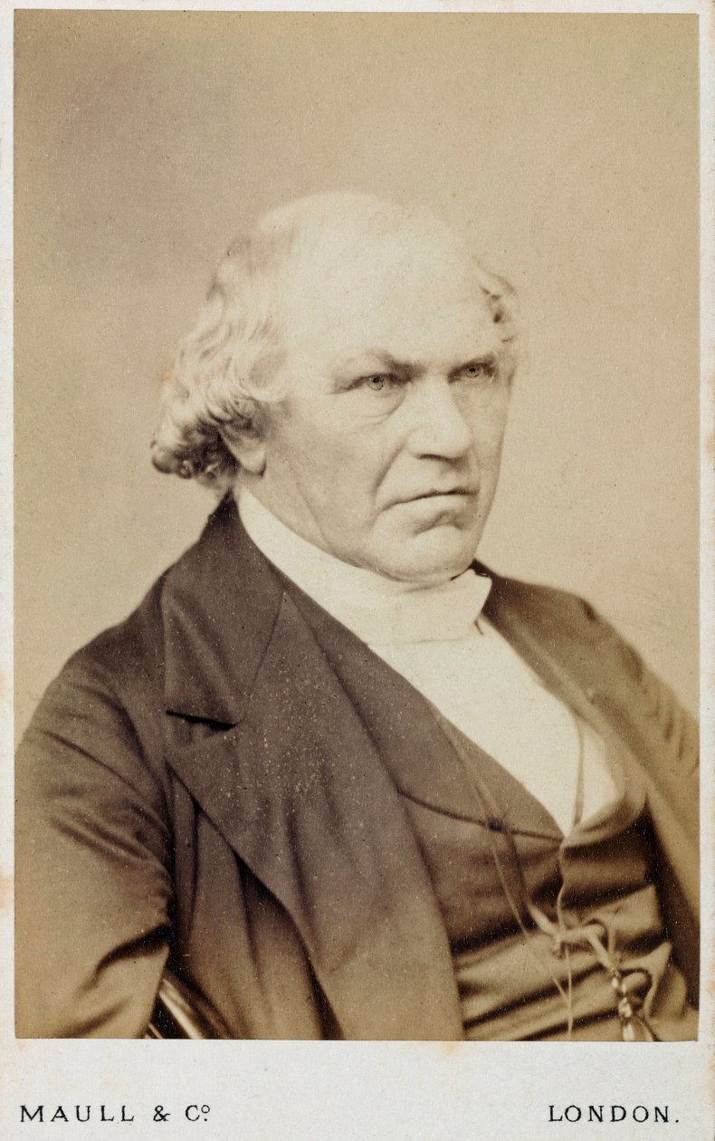William Whewell, engelsk polymat, c 1866-1879 af Unbekannt