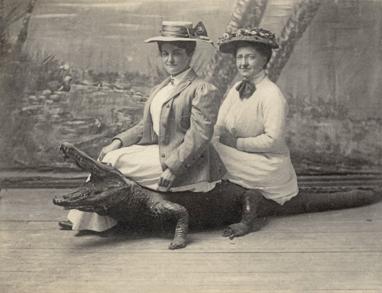 Kvinder sidder på en udstoppet alligator, ca. 1905 (s/h-billede) af Unbekannter Künstler
