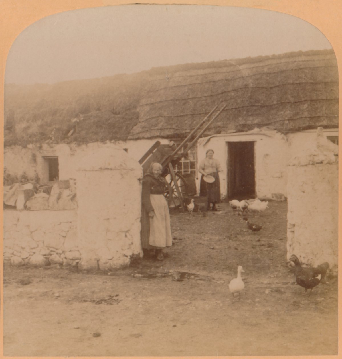 Et karakteristisk hjem, Ballintoy Village, County Antrim, Irland, 1900. af Underwood and Underwood